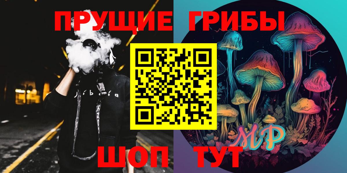 Псилоцибиновые грибы Cubensis Северобайкальск