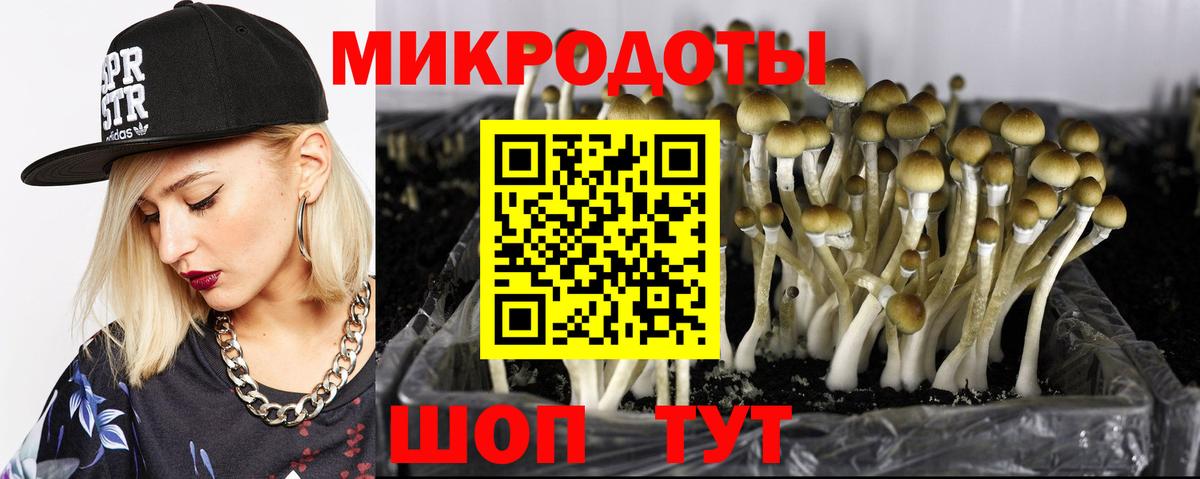 Северобайкальск  Псилоцибиновые грибы мицелий  Вход с VPN  Галлюциногенные грибы MAGIC MUSHROOMS 